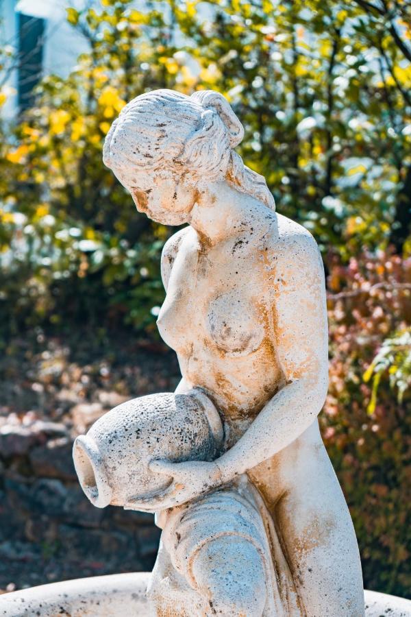 Le Mas Des Amandiers Saint-Paul-de-Vence Esterno foto